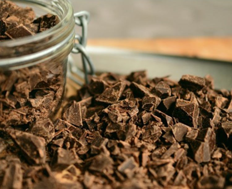 The Chocolate Museum