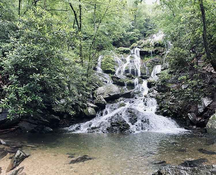 Waterfalls And Blossoming Flowers