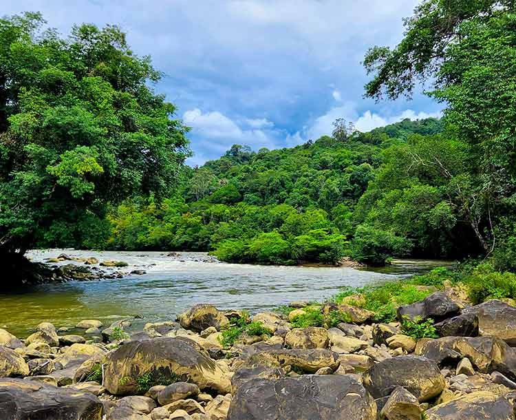 Three Streams In Three Steps