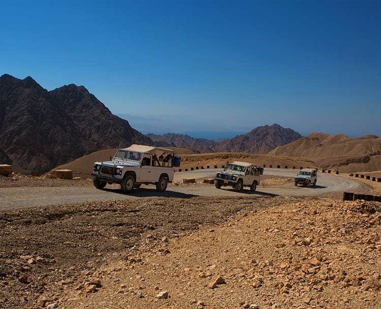 Gal Bamidbar | Desert Wave