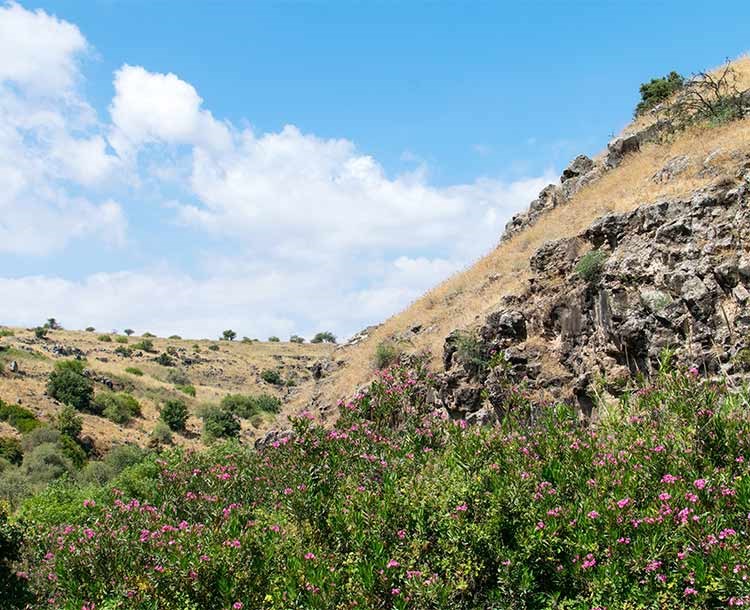 Hunin Fortress And The Naftali Mountains