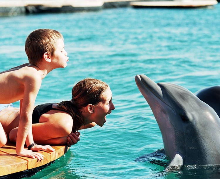 Dolphin Reef Eilat