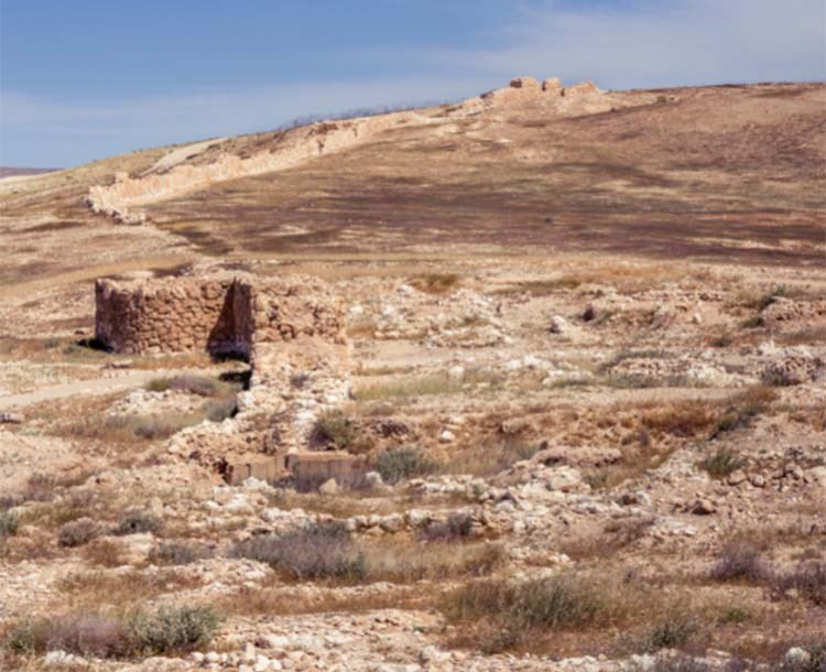 Tel Arad