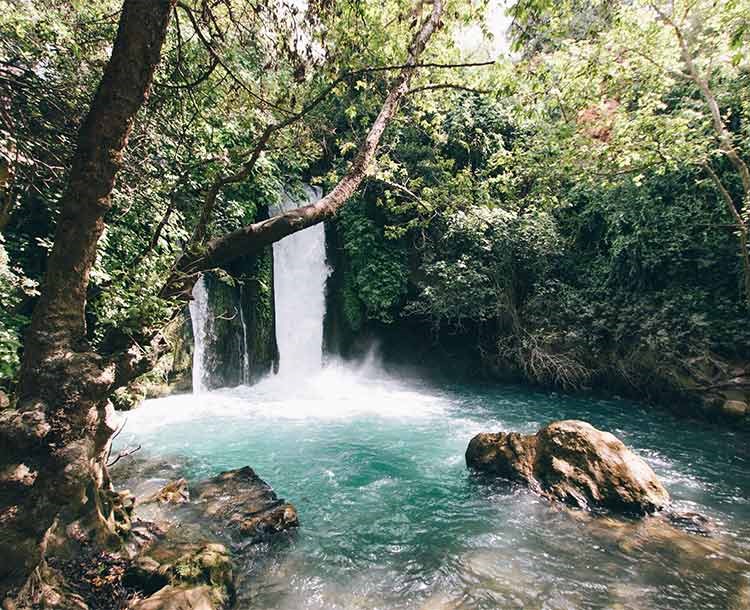 A Tour To Ein Darbashieh And Ein Tina Springs