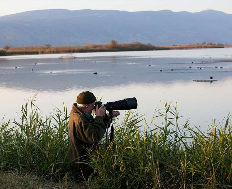 The Hula Reserve